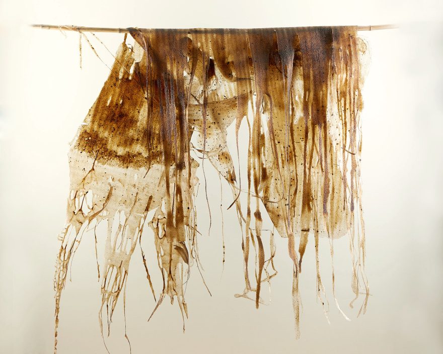 Une membrane en polymère teintée de café est suspendue sur une tige de bambou, formant une silhouette abstraite et dynamique sur un fond blanc crème.