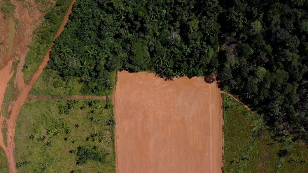 Vue aérienne d'un chemin de terre entouré d'arbres.